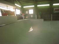 1058.jpg