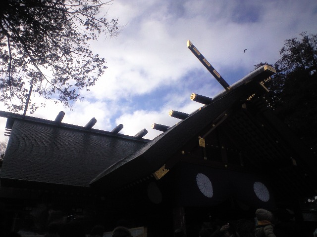 CA390759.jpg