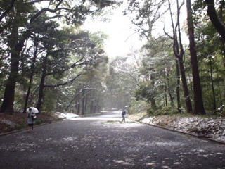 meijijingu2.jpg