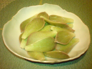 20080415205735.jpg