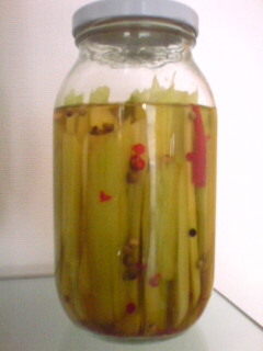 20080416084437.jpg