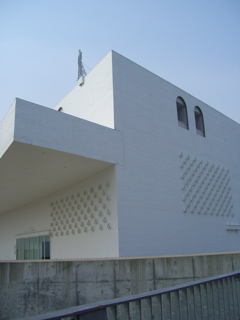 CIMG2443.jpg