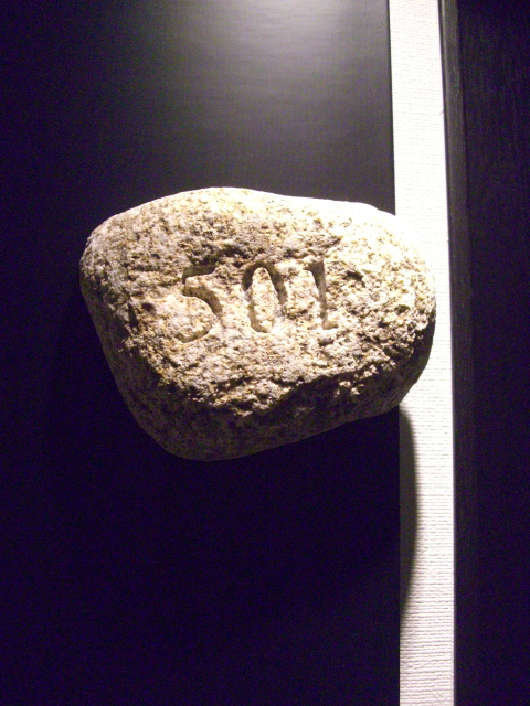 CIMG4947.JPG