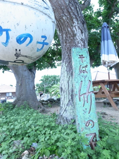 R0011312.jpg