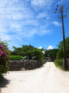 R0011476.jpg