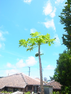 R0011488.jpg