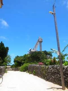 R0011489.jpg