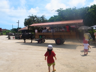R0011521.jpg