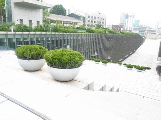 R0012035.jpg