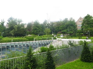 R0012046.jpg