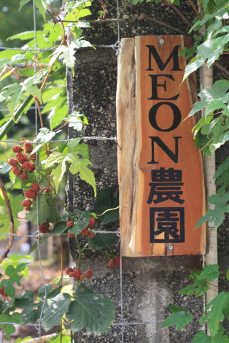 c0190900_20414866.jpg