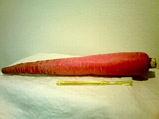 carrot.jpg