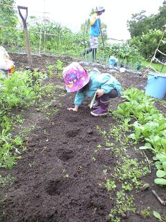 20100810-farm2.jpg