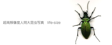 life-size01%3Ashun%3Ablog.jpg