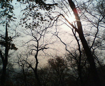 200804230645000.jpg