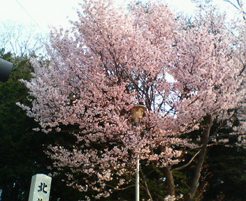 200804230704000.jpg