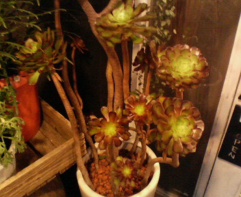 200807011935000.jpg